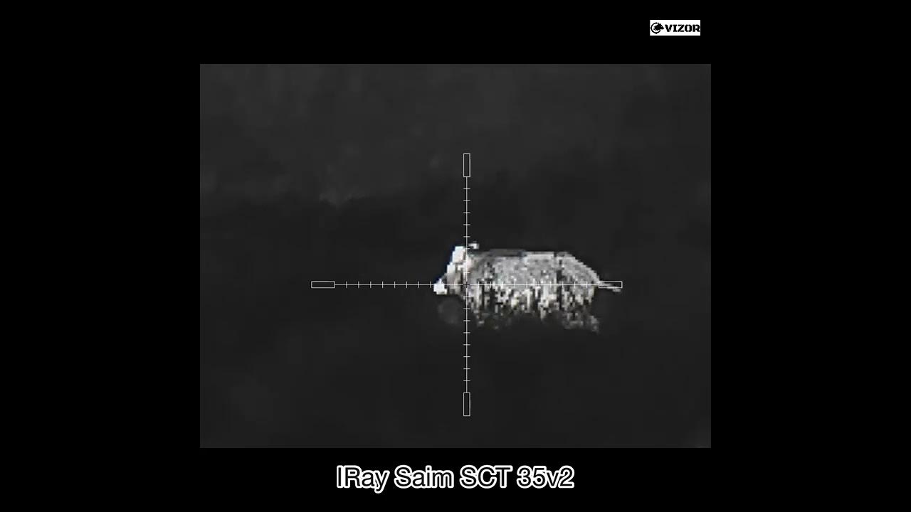 Охота в сентябре с лабаза на овсах - YouTube