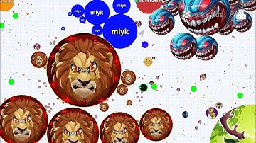 THE BEST SOLO VS ALL 🦁 (AGAR.IO MOBILE)