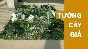 Thi công tường cây giả - Tường cỏ nhựa trang trí nhà cửa | Cỏ nhân tạo SG
