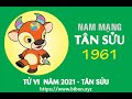 TỬ VI TUỔI TÂN SỬU 1961 NĂM 2021 ( Tân Sửu )