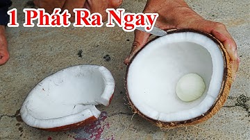 Cách Đơn Giản Nhất Để Cậy Cơm Dừa Khô Ra Nhanh Chóng Nhất / Mẹo Tách Vỏ Cơm Dừa Kho Đơn Giản