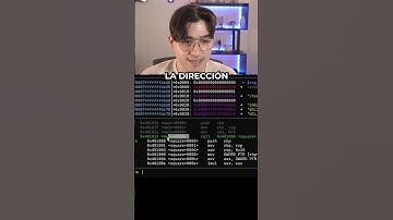 Instrucción call en ensamblador x64