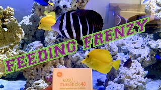 Feeding Frenzy Hulk Reef Easy Reefs Easy Mas-Stick Fish Food