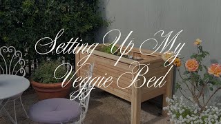 Setting up my veggie bed