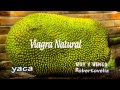 Voy y Vengo_YACA LA VIAGRA NATURAL