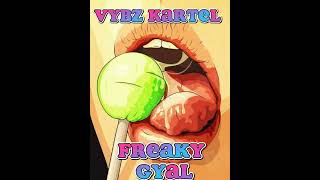 VYBZ KARTEL FREAKY GYAL (OFFICIAL AUDIO)