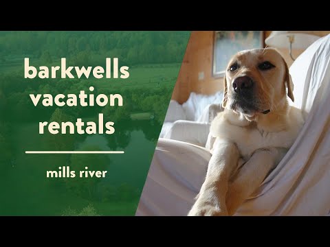 Barkwells Dog-Friendly Retreat in Mills River, NC | NC Weekend