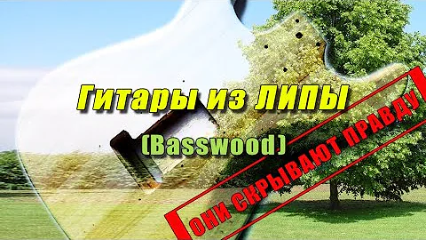 Гитары из Липы (Basswood Guitars)