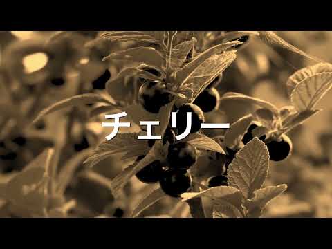 チェリー / スピッツ ハーモニカ合奏 N.K（ギター伴奏）