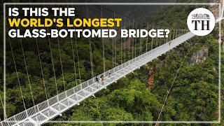 Is this the world's longest glass-bottomed bridge? | The Hindu