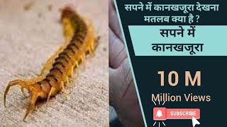 Sapne Me Kankhajura Dekhna | सपने में कानखजूरा देखना | सपने में कानखजूरा का मतलब क्या है  |Topic Box