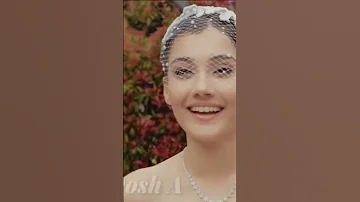 زواج زينب وعلي خان مسلسل التفاح الحرام 