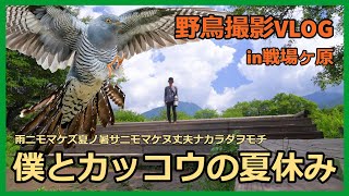 野鳥撮影Vlog「カッコウを求め奥日光・戦場ヶ原を歩く」 オシドリ、ホオアカ、アカゲラ、オオルリ、ゴジュウカラなど| Birding in Japan shot on SONY α1