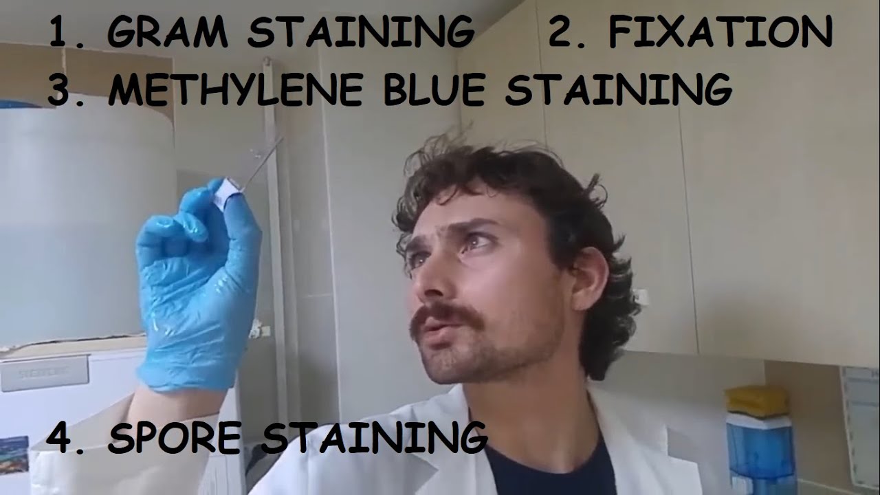 Gram staining, Fixation, Methylene blue staining, Spore staining