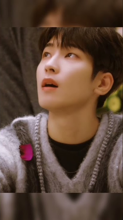 Seventeen | I can't run away 🎶 Hiphop Team ~ Wonwoo cut