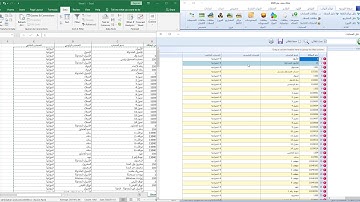 كيفية استيراد شجرة الحسابات ( دليل الحسابات ) من اكسل الى برنامج اكسترا