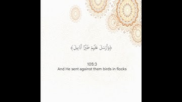 سورة الفيل الشيخ المنشاوي مجودة Surah Al-Fil #المنشاوي  #قرآن  #quran #qurantranslation