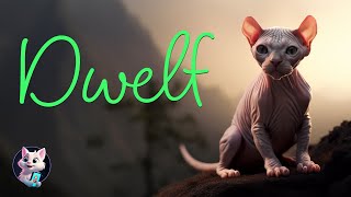 Dwelf: The Tiny Cat with a Big Heart and Unique Appearance by Kitty Cat Magic 51 views 6 months ago 46 seconds