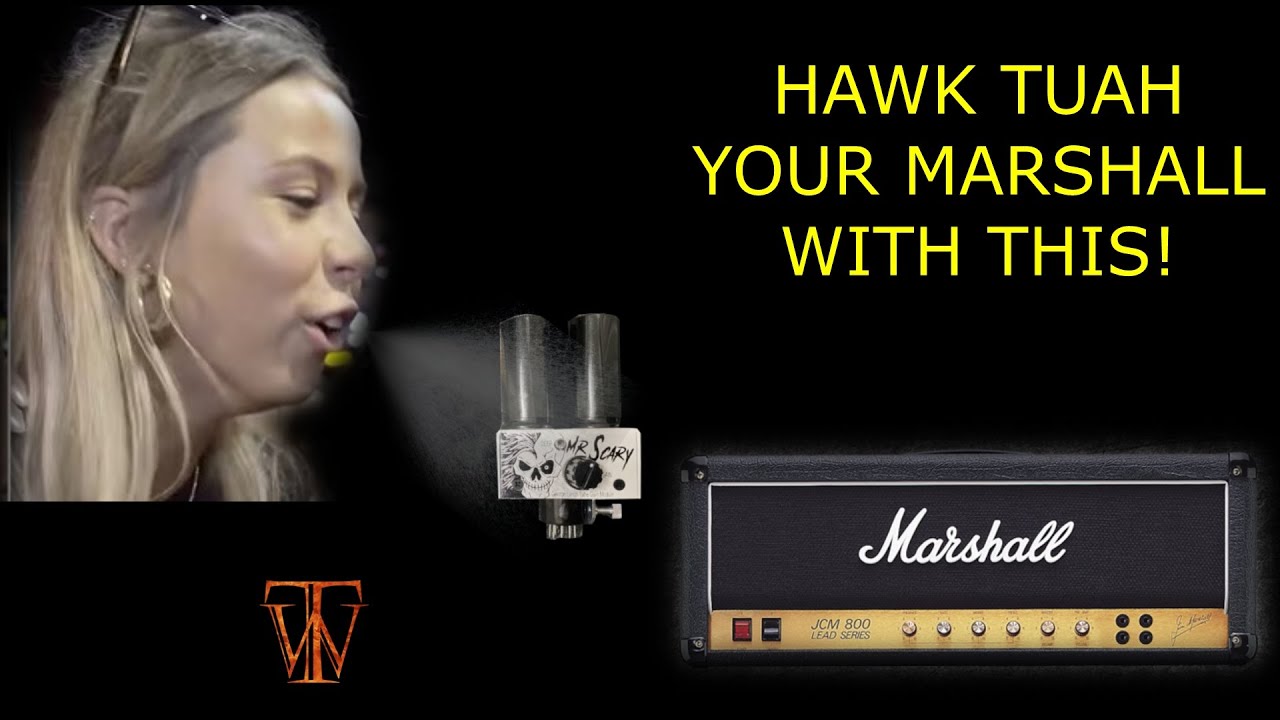 Mr Scary Modded Marshall JCM800