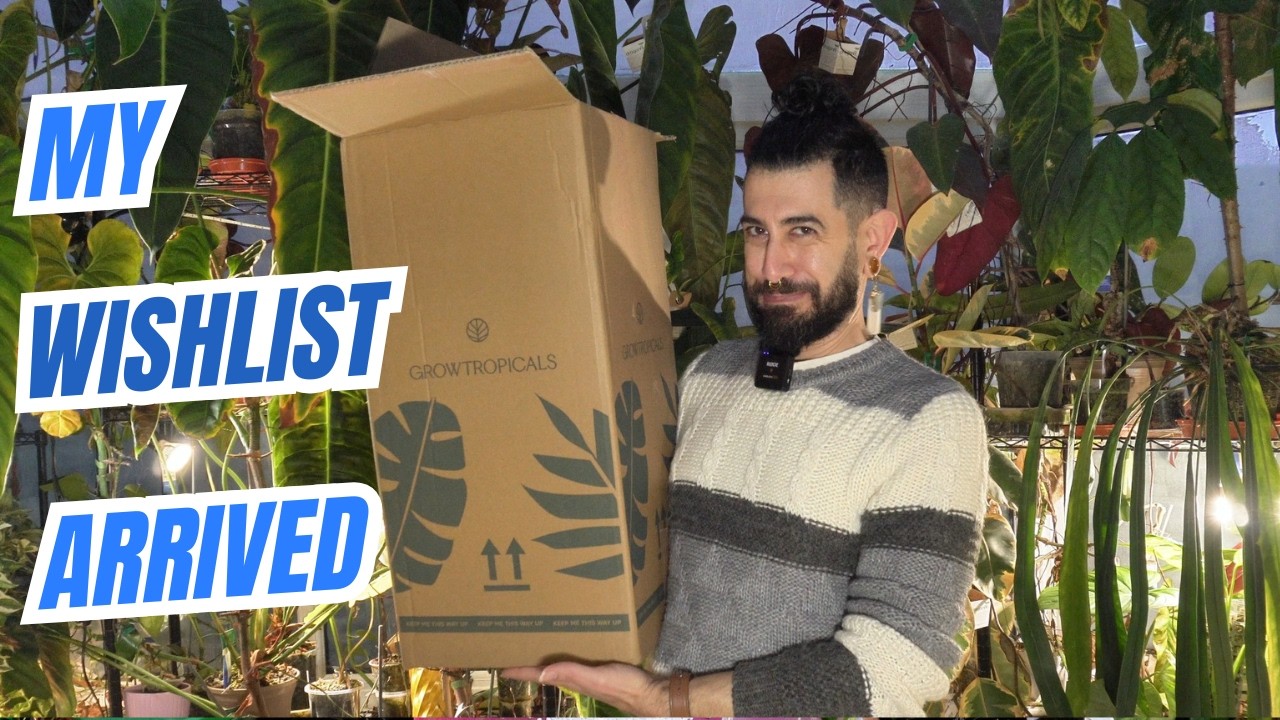 My Most Exciting Plant Unboxing EVER 😳🌱