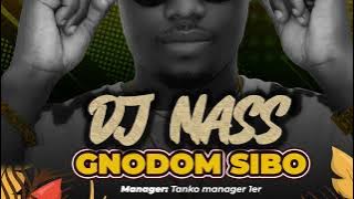 DJ NASS Gnodom_Sibo