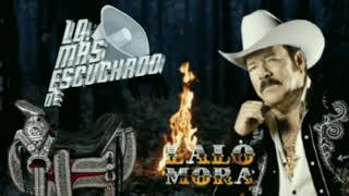 🤠Lalo Mora