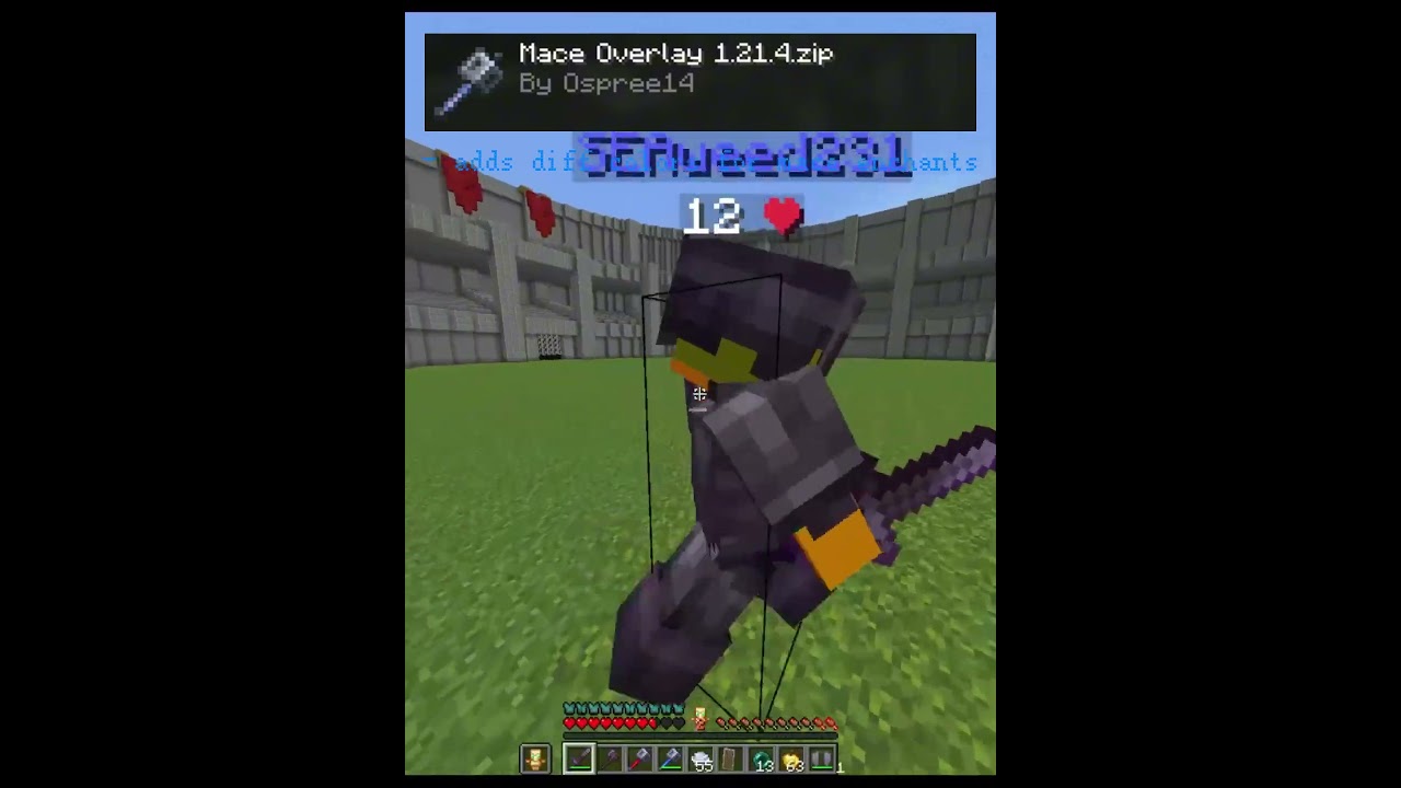 Best Texture Packs for MACE PVP  