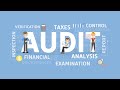 Fundamental audit concepts