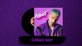 T-Killah - Собака Лает [Альбом Витамин Т]