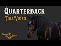 Quarterback - FULL VIDEO || Draft Cross || Friesian x Percheron