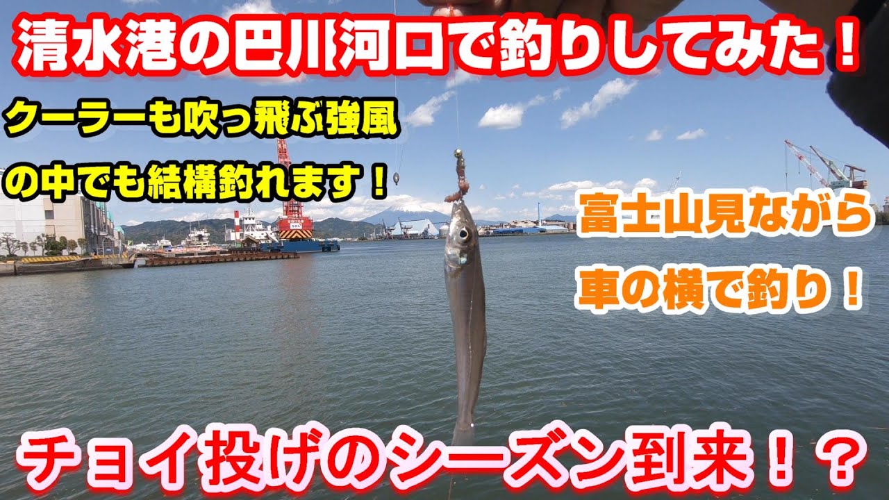 静岡県清水港の巴川河口で安近短な釣り ちょい投げ釣りは楽しい Youtube