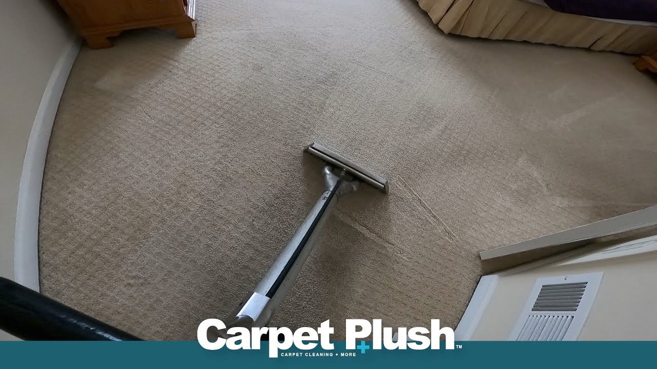 Dirty Carpet Traffic Lane Cleaning | 