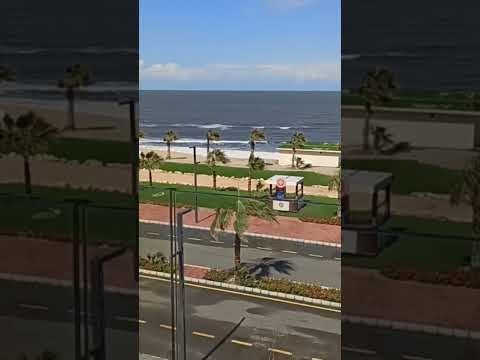 فيديو فيو فندق بورتوسعيد