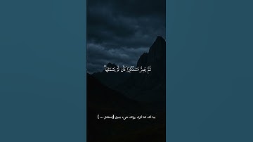 ويل لكل أفاك أثيم | محمد اللحيدان| سورة الجاثية #قرآن #تلاوة_خاشعة #راحة_نفسية #المصحف #قرآن_كريم