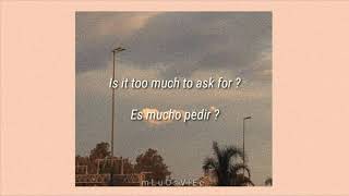Timmies - Soft Skin / ft. Shiloh / Español - English /