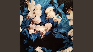 Modish Backdrops for Memory Hope