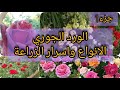 الورد الجوري الأنواع واسرار الزراعة بثلاث أجزاء التصوير حديقتي المنزلية العراق بابل جزء 1 الورد الجوري الأنواع واسرار الزراعة بثلاث أجزاء التصوير حديقتي المنزلية العراق بابل جزء 1