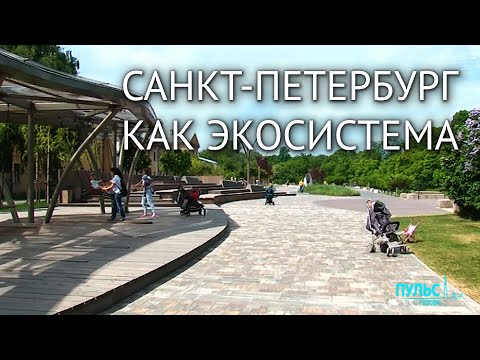 Город как экосистема. Каким должен быть современный мегаполис?