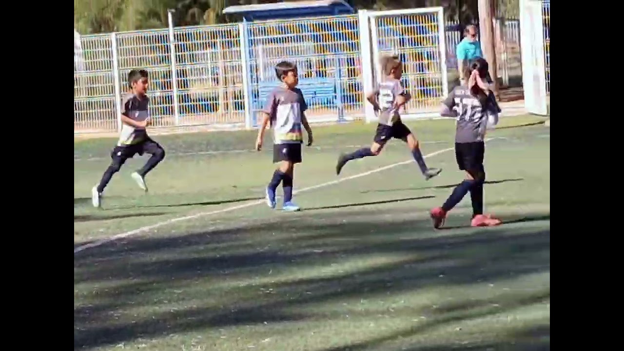 La pelota entró. ¡Gol! 