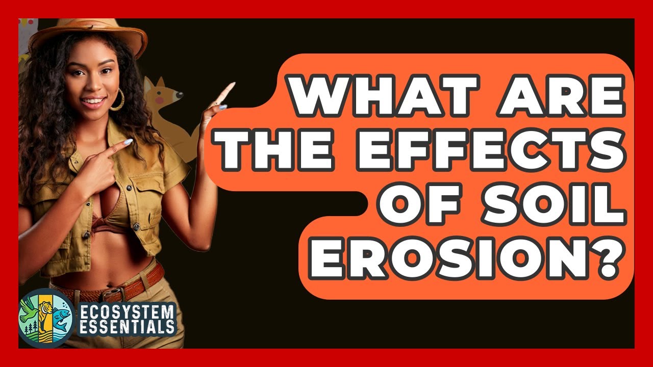 What Are The Effects Of Soil Erosion? - Ecosystem Essentials