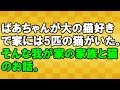 【じんわりする話】家族と猫のお話<スカッとまつり>
