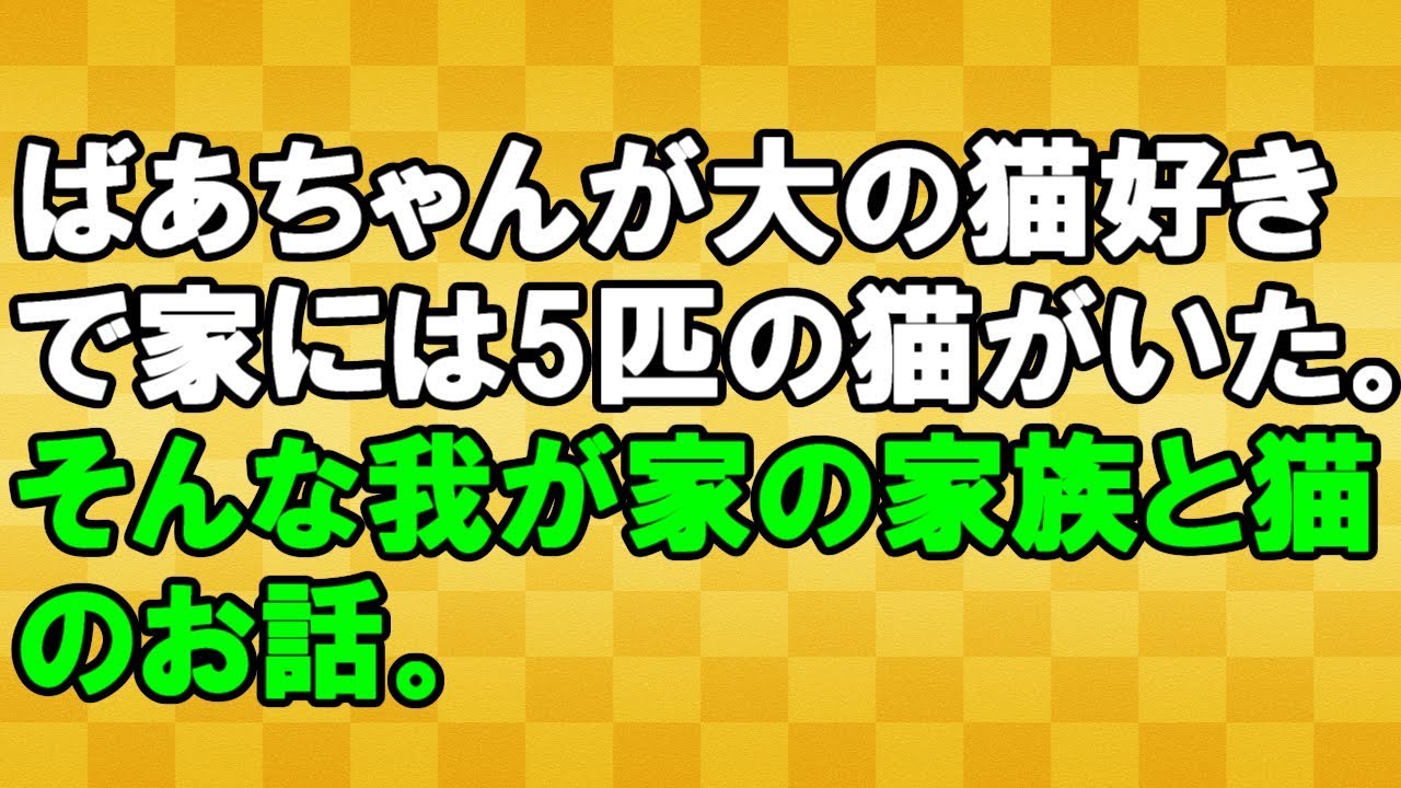 【じんわりする話】家族と猫のお話<スカッとまつり>