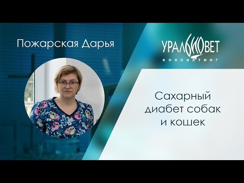 Сахарный диабет собак и кошек. Пожарская Дарья #убвк_эндокринология