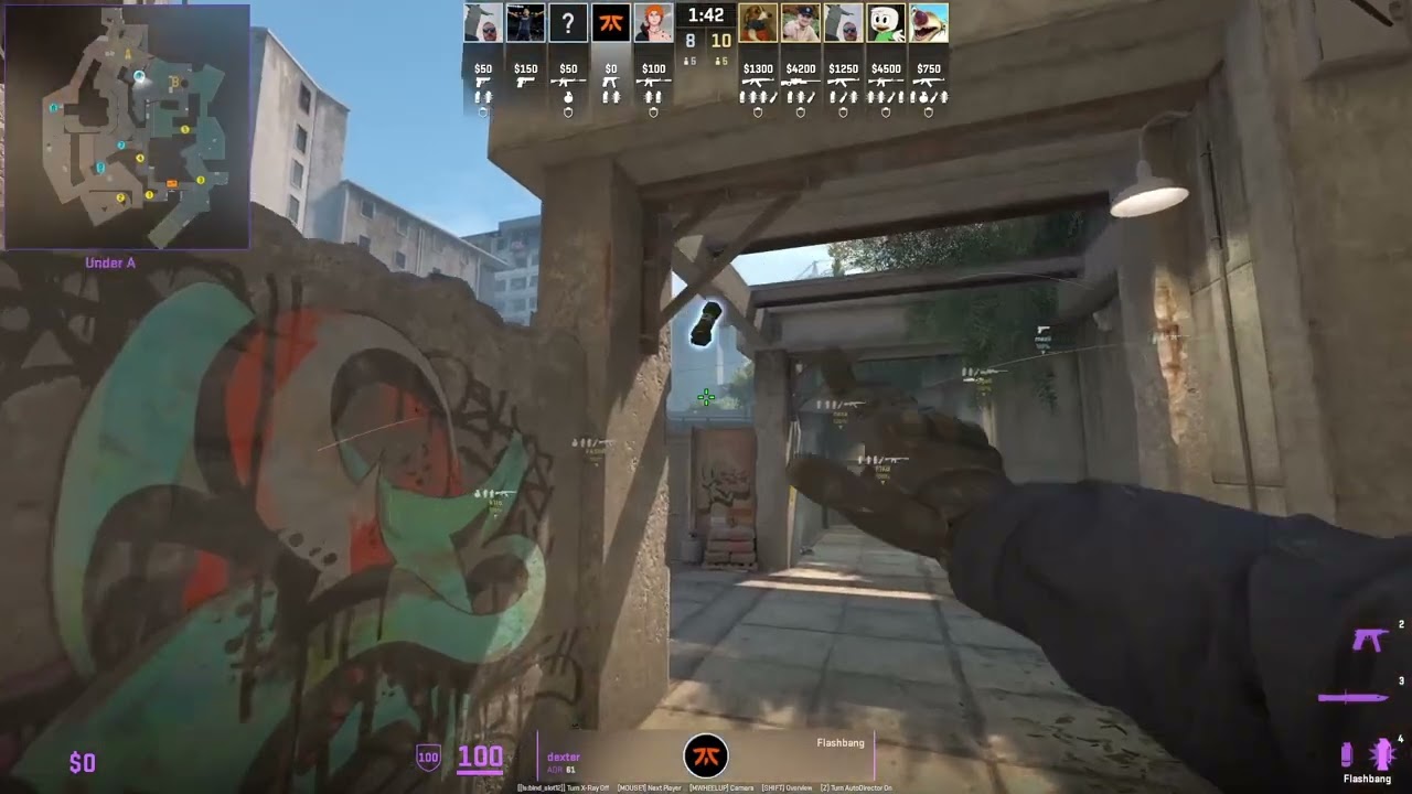 dexter Shows Overpass Short Pipe Flash in CS2