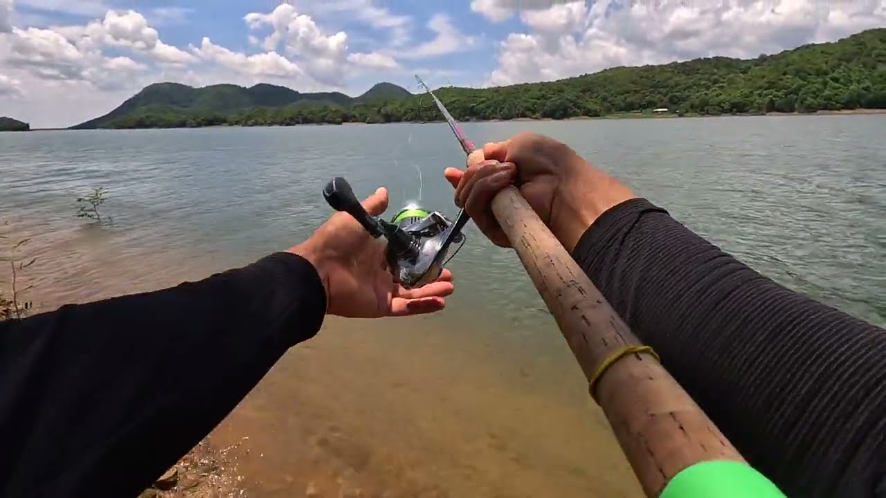 Lure Cá Ngựa Nam Hồ Sông Quao Mùa Mưa
