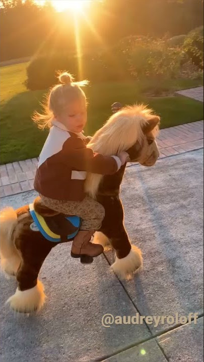 PonyCycle Ride on Horse: Best Gift for Kids