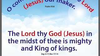 Online Bible Study