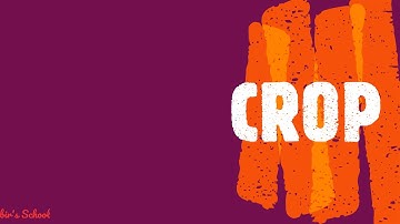 Class 3 ¤ Video 1 : Fun With Paint