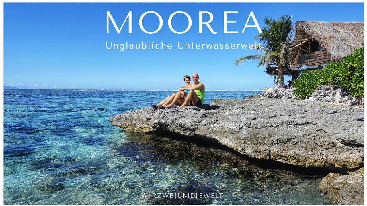 WELTREISE-VLOG#202 Snorkeling at Lagoonarium of Moorea | French Polynesia