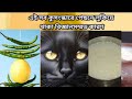 কুসংস্কারের রহস ভেদ || sciencetific reasons behind superstition Indian traditional || অন্ধবিশ্বাস